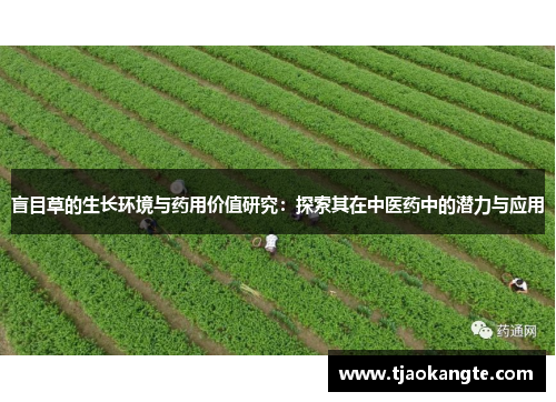盲目草的生长环境与药用价值研究：探索其在中医药中的潜力与应用